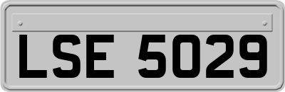 LSE5029