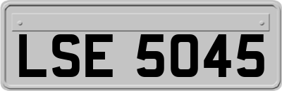 LSE5045