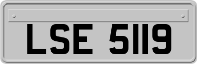 LSE5119