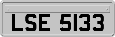 LSE5133
