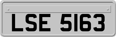 LSE5163