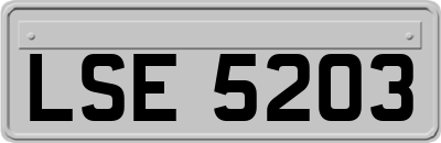 LSE5203