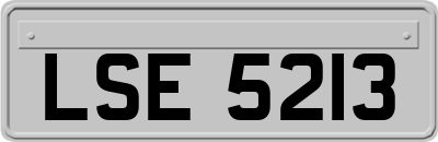 LSE5213