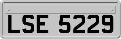 LSE5229