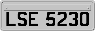 LSE5230