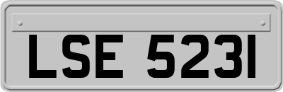 LSE5231