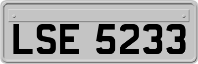 LSE5233