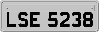 LSE5238