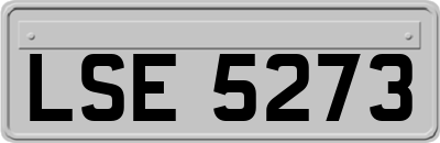 LSE5273