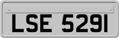 LSE5291