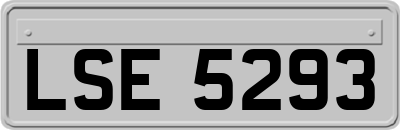 LSE5293