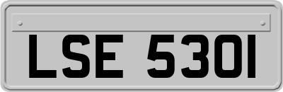 LSE5301