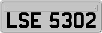 LSE5302