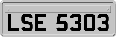 LSE5303