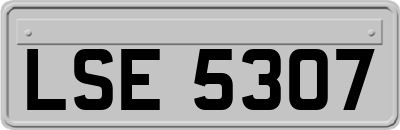 LSE5307