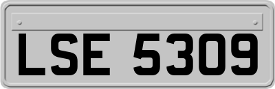 LSE5309