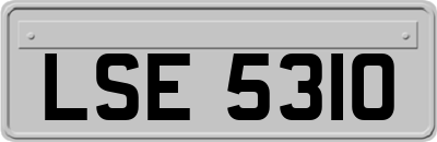 LSE5310