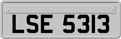 LSE5313