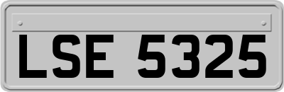 LSE5325