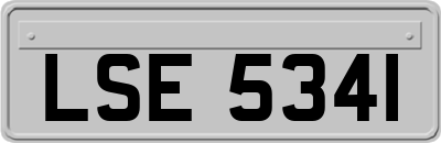 LSE5341