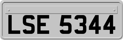 LSE5344