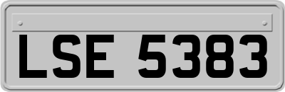 LSE5383