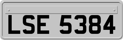 LSE5384