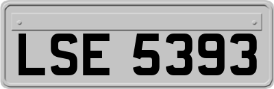 LSE5393