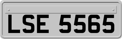 LSE5565
