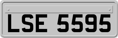 LSE5595