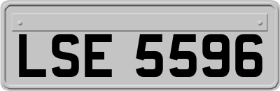 LSE5596