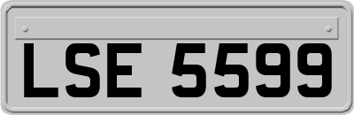 LSE5599