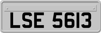 LSE5613