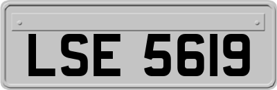 LSE5619