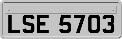 LSE5703