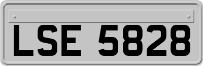 LSE5828