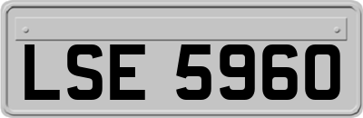 LSE5960
