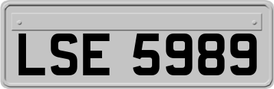 LSE5989