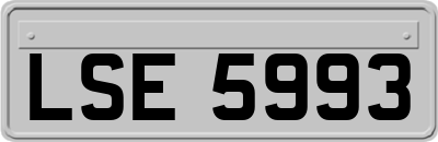 LSE5993