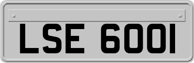 LSE6001