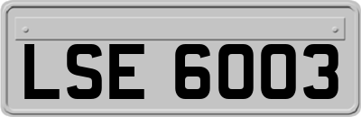 LSE6003