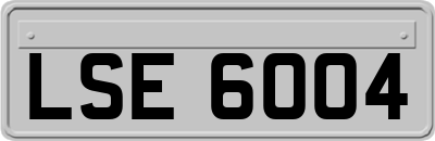 LSE6004