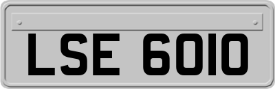 LSE6010