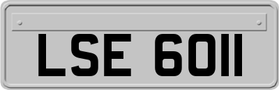 LSE6011