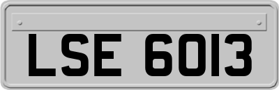 LSE6013