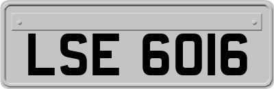 LSE6016