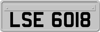 LSE6018