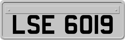 LSE6019