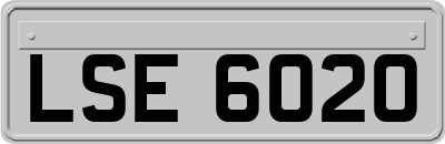 LSE6020