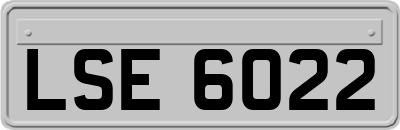 LSE6022